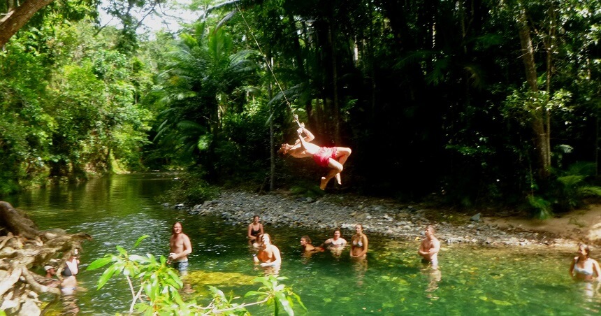 Daintree Rainforest Tours - Tree Swing