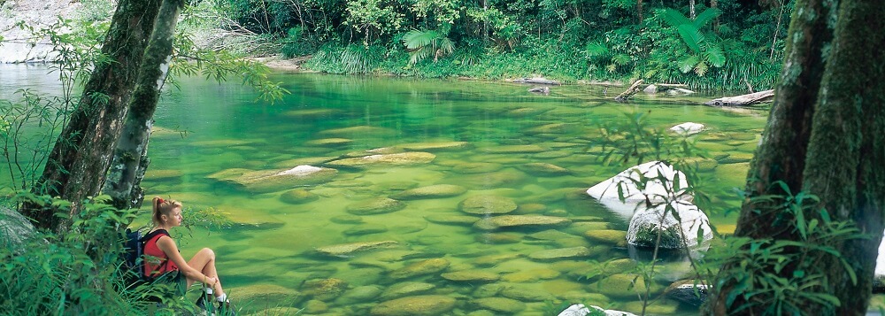Swimming Holes of the Daintree Rainforest