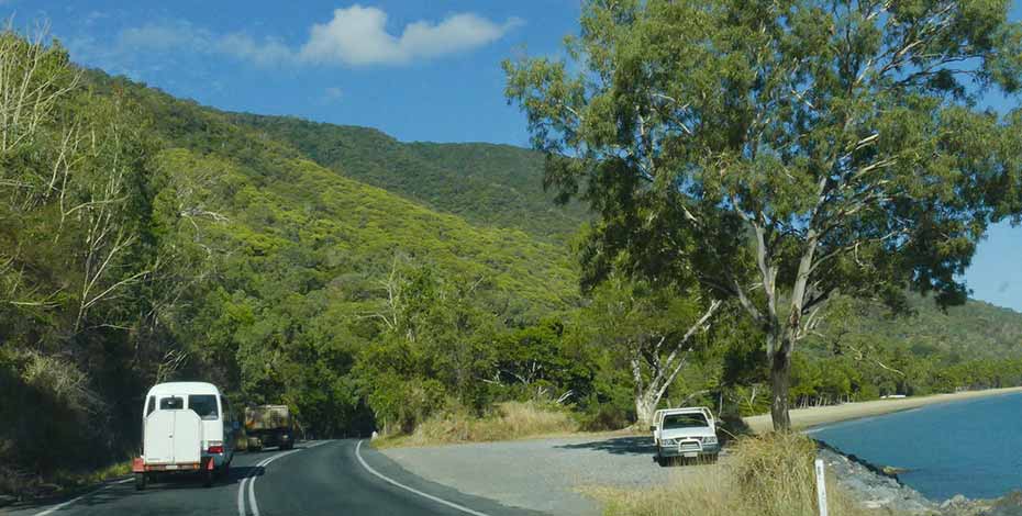 How to go from Cairns to Cape Tribulation