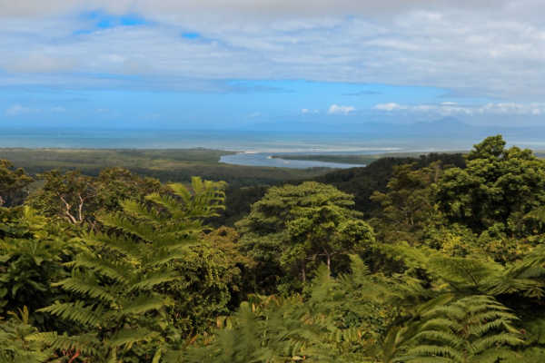 Mount Alexandra Lookout
