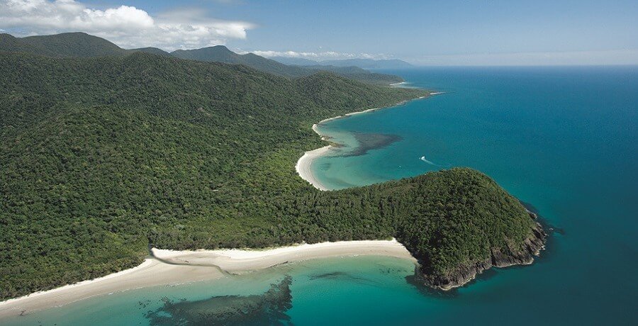 daintree rainforest view from top