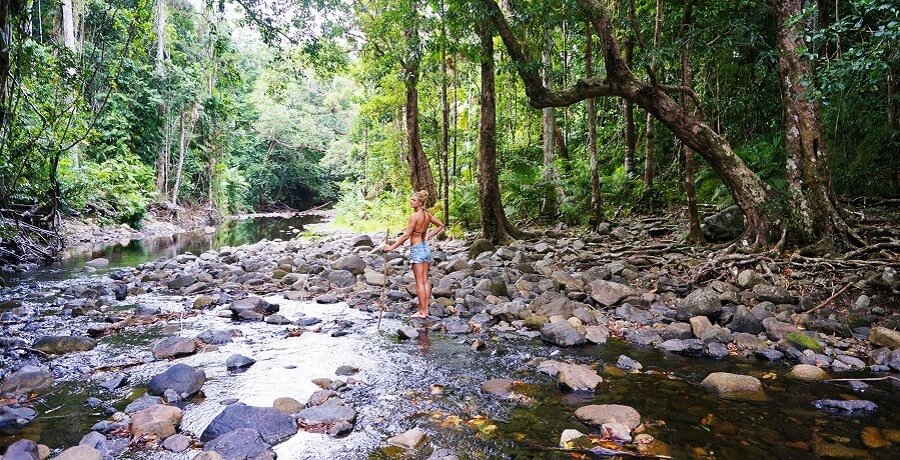river in daintree national park