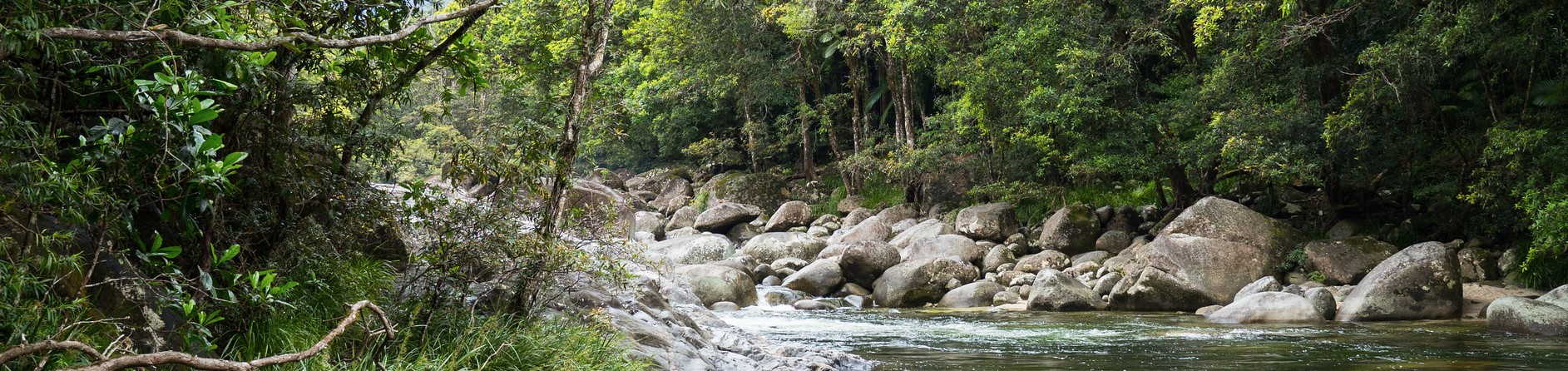 What state is the Daintree rainforest in?