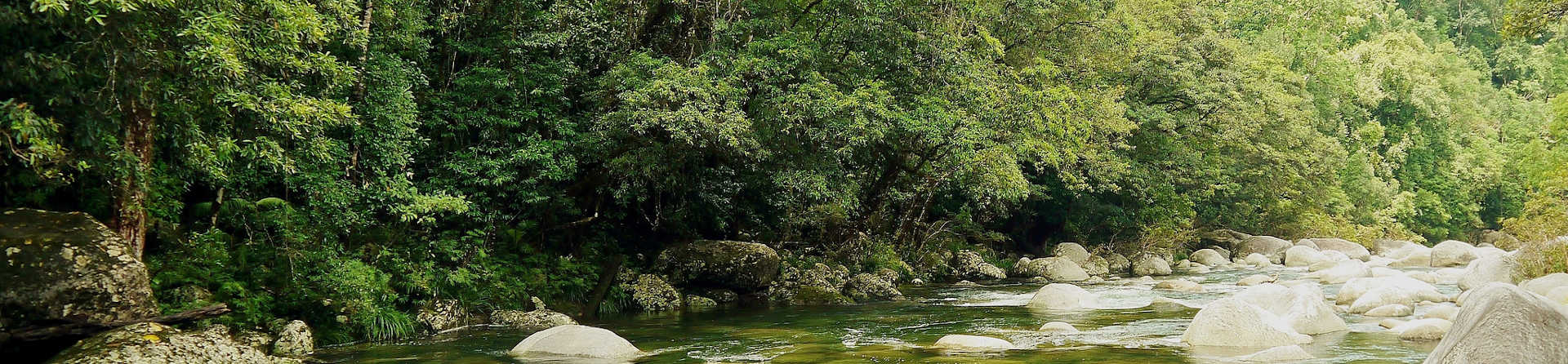 How do you get to the Daintree rainforest?