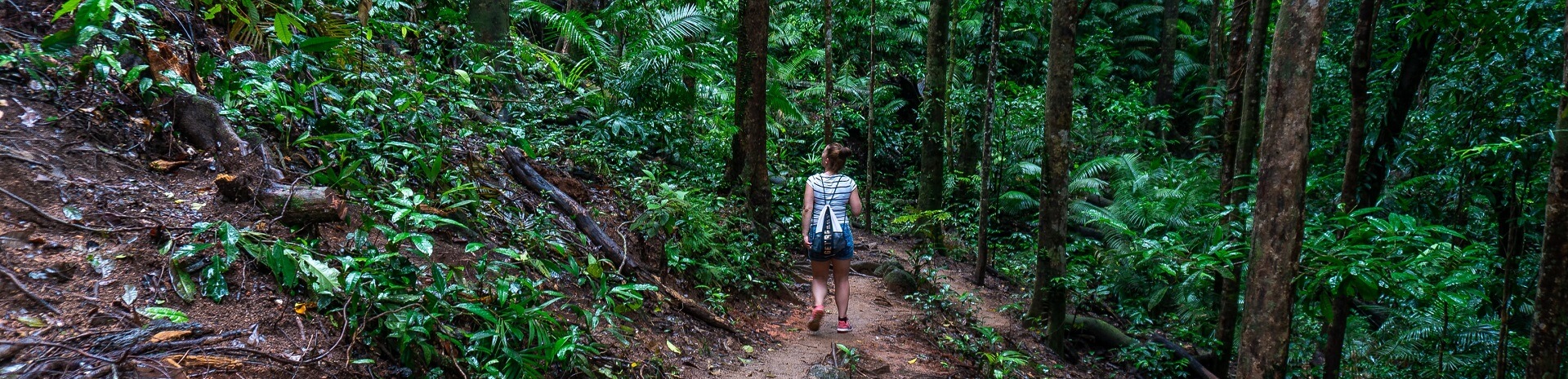 Can you explore the Mossman Gorge on your own?