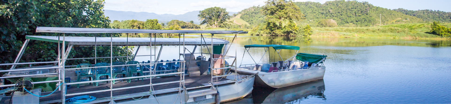 Is the Daintree River cruise worth it?