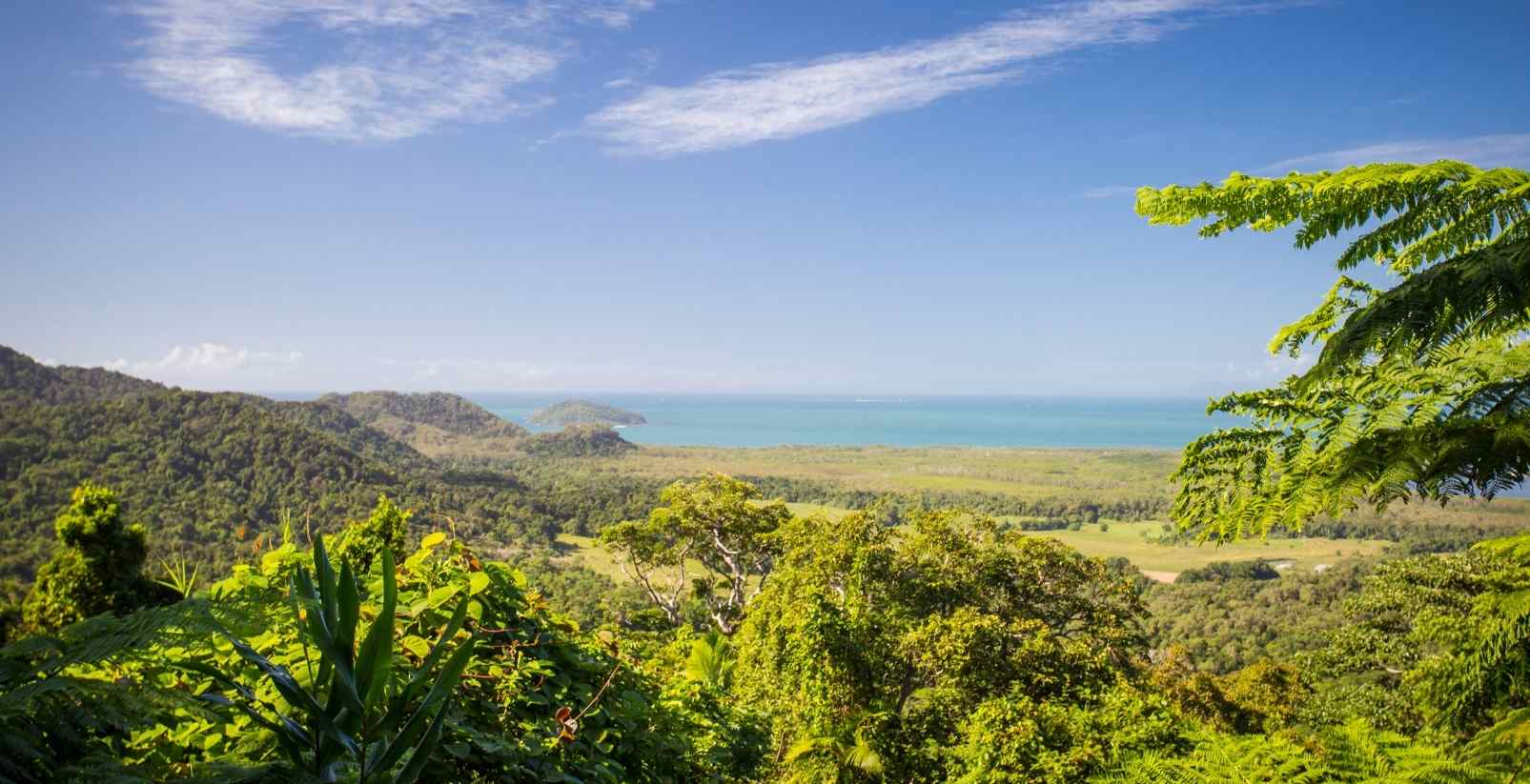alexandra lookout