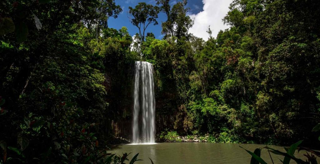 2 Day Cape Tribulation & Atherton Tablelands Tour $429