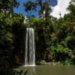 millaa millaa waterfall atherton tablelands