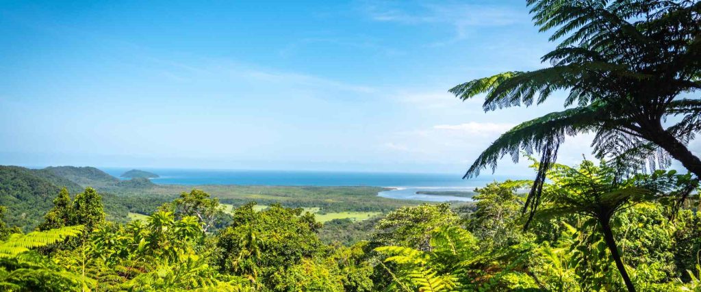 2 Day Cape Tribulation and Daintree Rainforest Tour $329