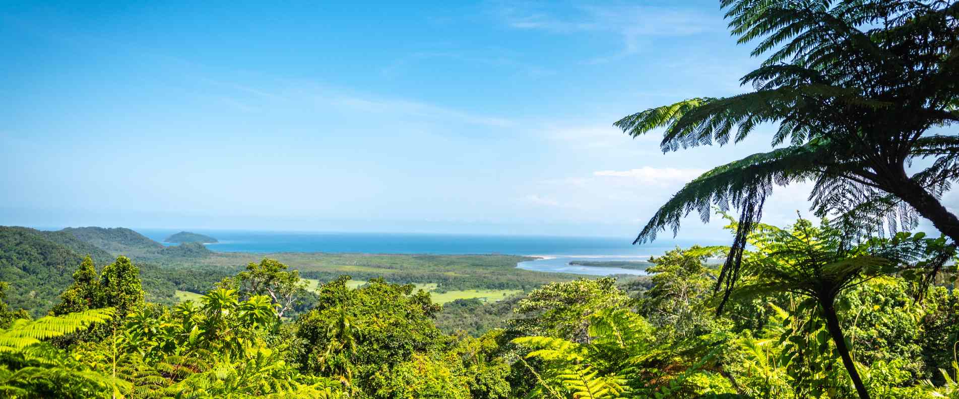 Looking out over daintree rainforest and river