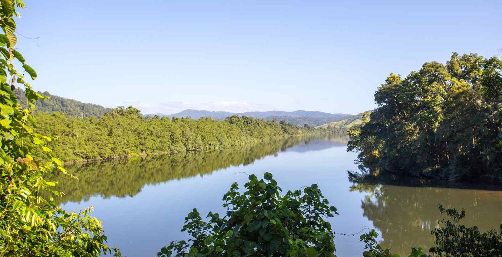 river in the daintree