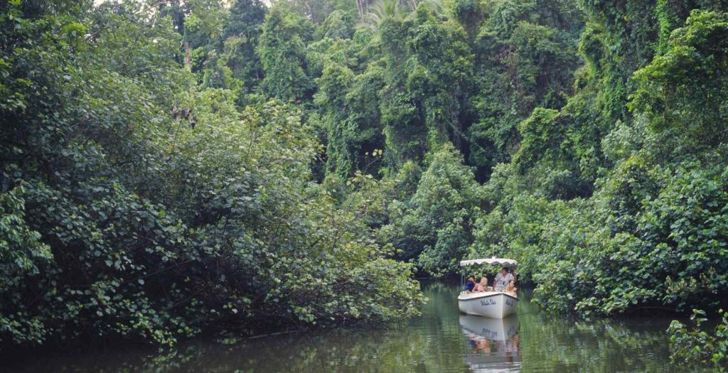 boat on river
