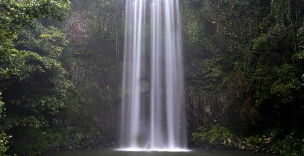 millaa millaa waterfall atherton tablelands