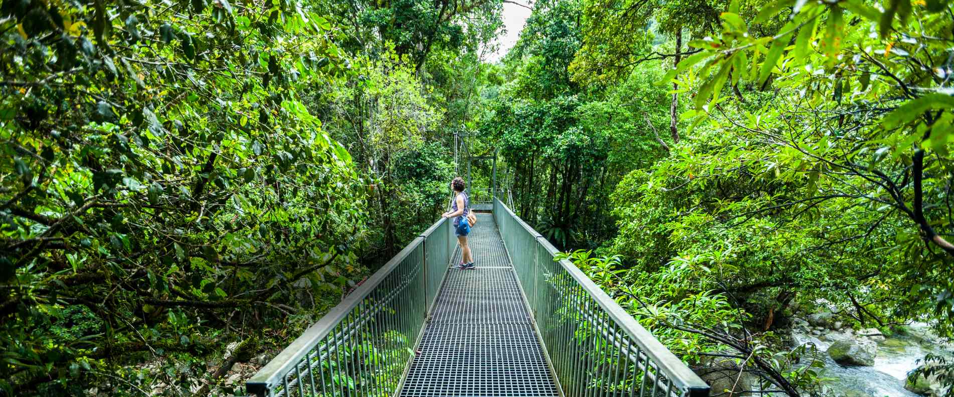 woman standing on bridge in forest