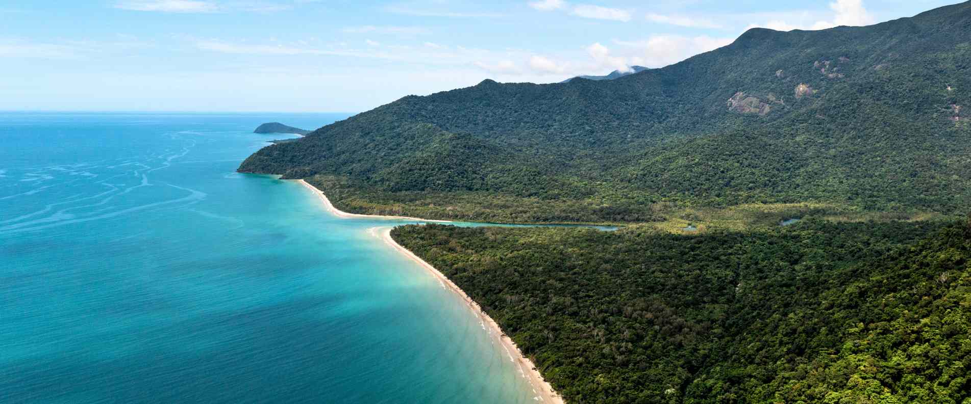 Daintree coastline