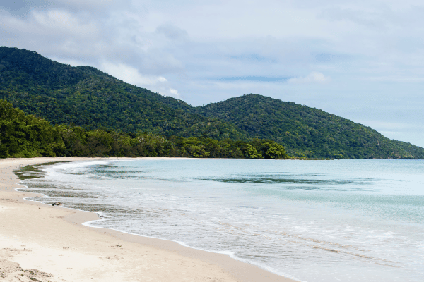Cape Tribulation