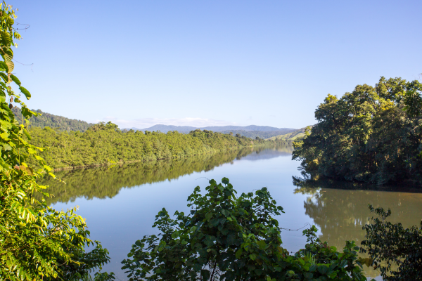 Daintree River