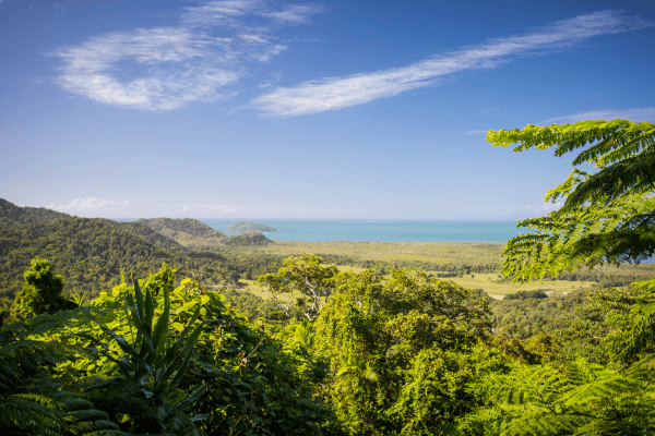 Mount Alexandra Lookout