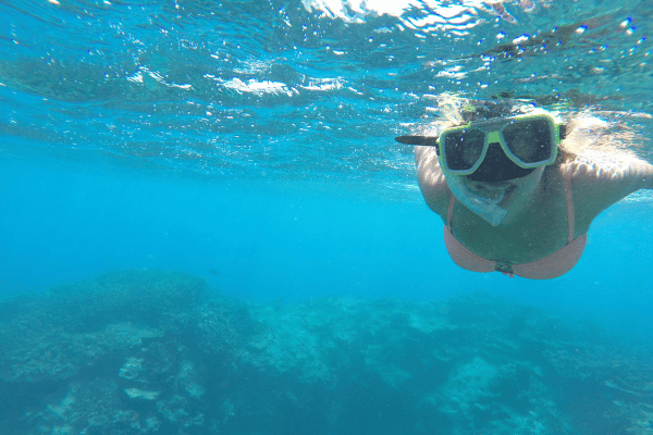 Reef snorkelling