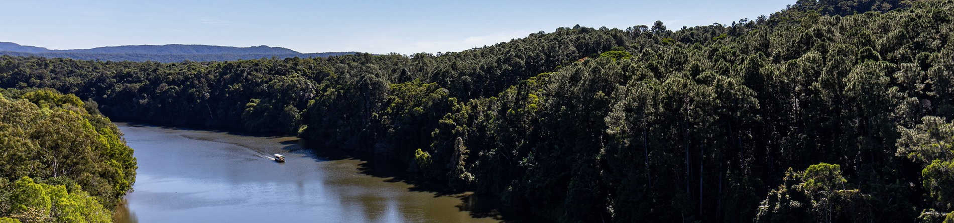 Barron River, Daintree Rainforest