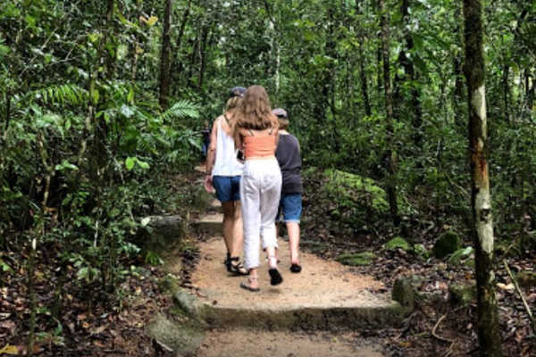 Mossman Gorge Bushwalks