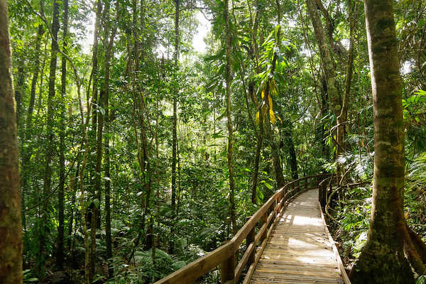 Bushwalking