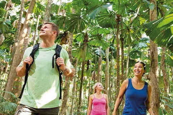 Cape Tribulation & Daintree Tour Overnight