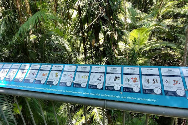 Daintree Discovery Centre