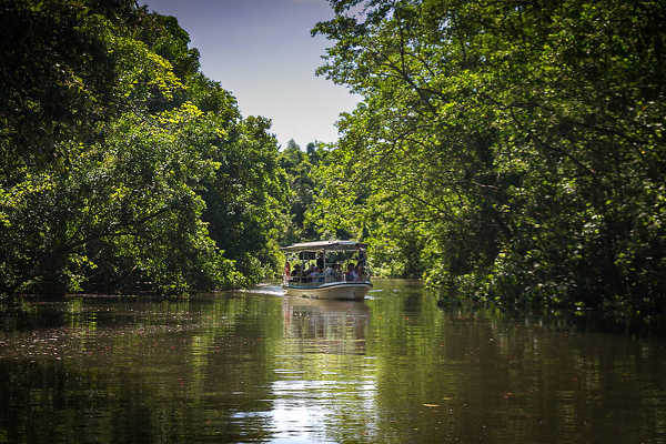 Daintree River Cruise