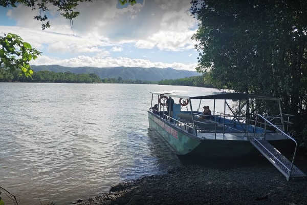 Daintree River Cruise