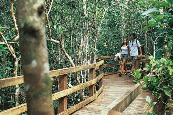 Marrdja Boardwalk
