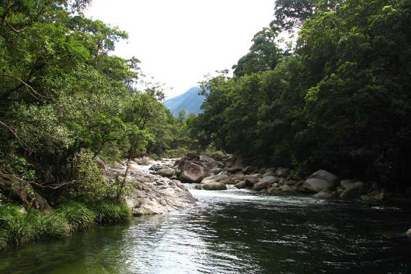 Mossman Gorge