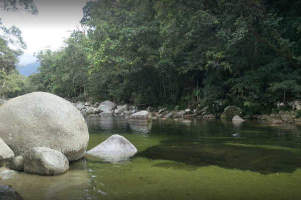 Swimming Spot