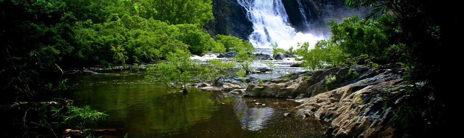 The Daintree Rainforest