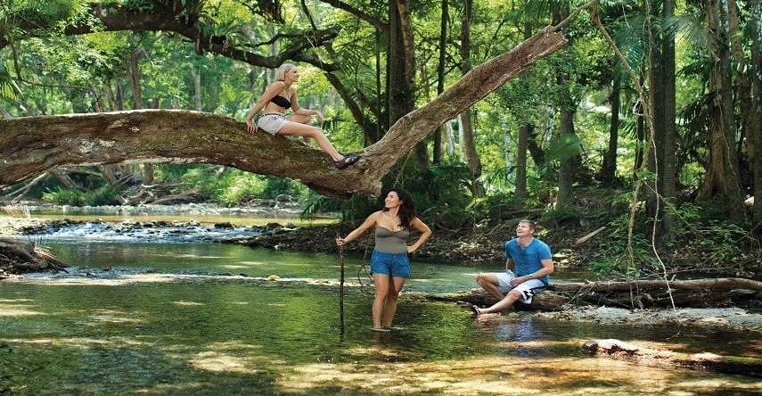 Things to Do in Daintree Rainforest
