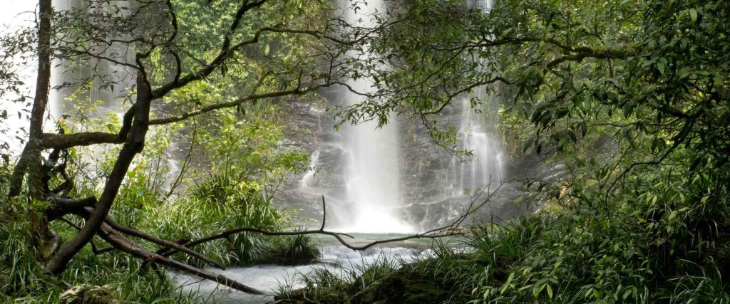 Cassowary Falls