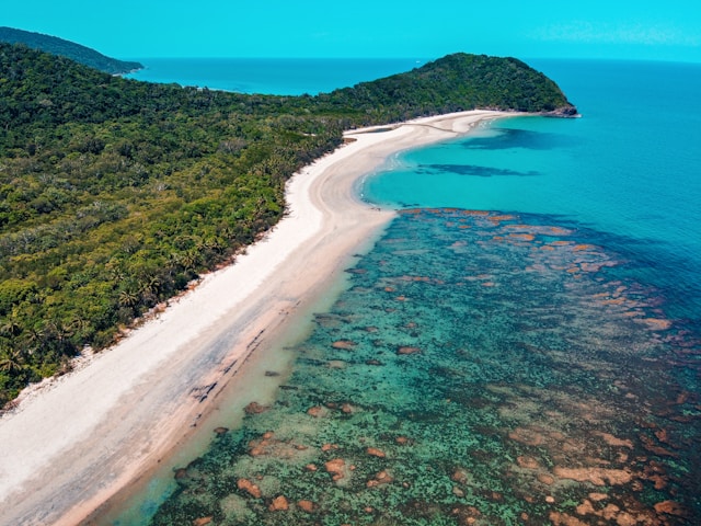 The Daintree Rainforest at Cape Tribulation