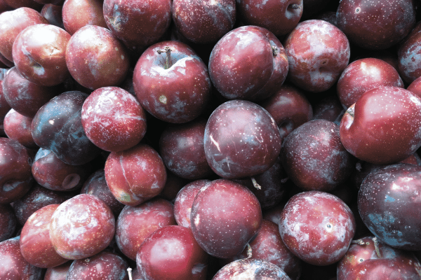 plums 